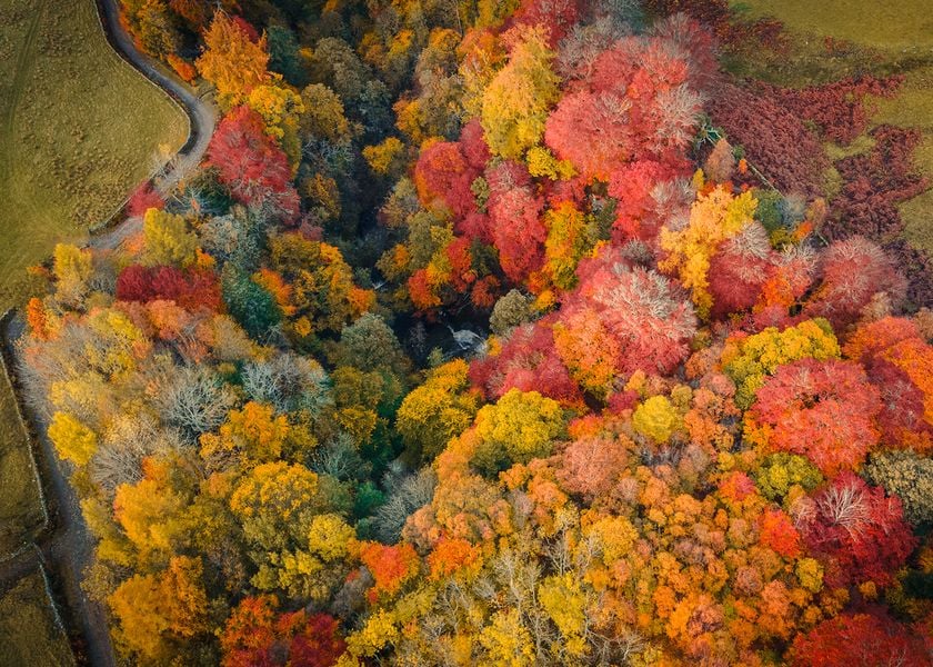 Why Autumn is the Perfect Season to Start Exploring on an E-Bike